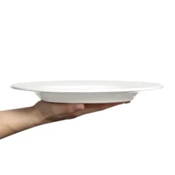 Basic-lautanen 28 cm, valkoinen