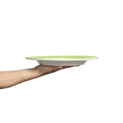 Basic-lautanen 28 cm, Vihreä