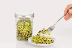 Kilner idätyssarja, Kirkas valkoinen, 500 ml