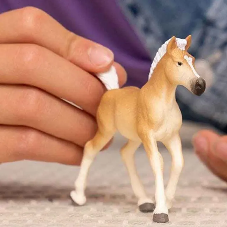Schleich Haflinger Föl 13951