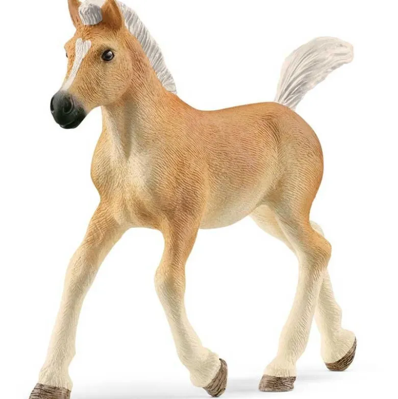 Schleich Haflinger Föl 13951