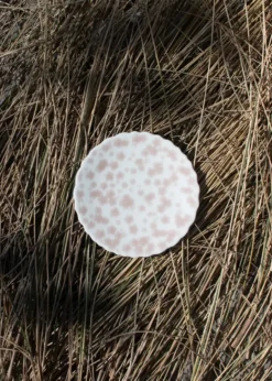 Slåpeblom lautanen Ø13 cm, Roosa