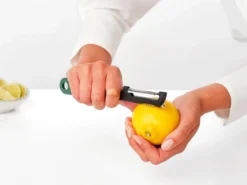TASTY+ Swivel Food Peeler+Zester zestiraudalla/kuorimella, Fir Green