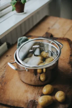 Trivence pata, Ruostumaton teräs, lasikansi, 5 L